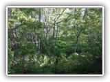 bike tour @ bog rail trail in Saratoga