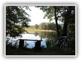 bike tour @ bog rail trail in Saratoga